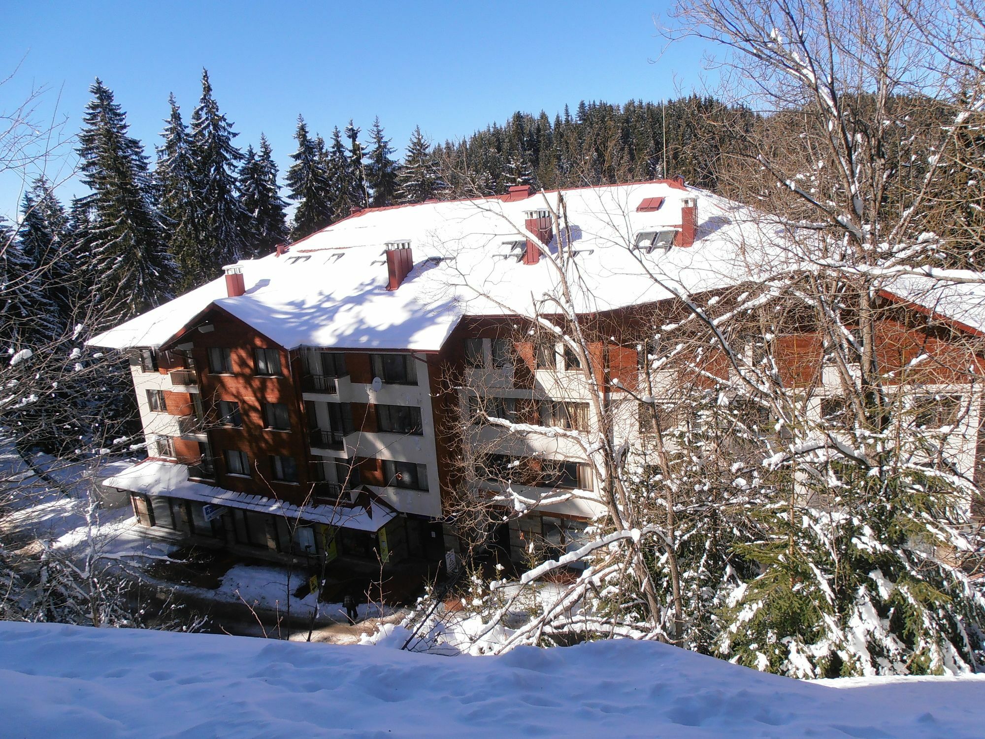 Royal House Apartments Tmf Pamporovo Esterno foto